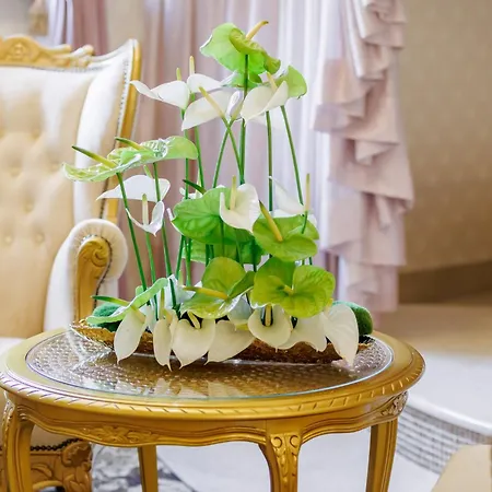 Dwor Prezydencki Boutique & Otel
